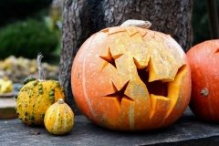 halloween_tok_cica