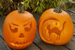 halloween_tok_macska