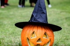 halloween_tok_vidam