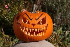 remiszto_halloween_tok1