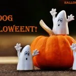 boldog halloweent szellemes