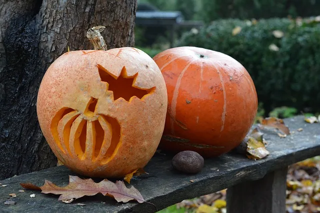 halloween tök denevér