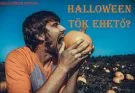 halloween tök ehető