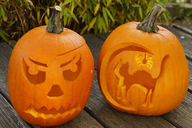 halloween tök macskás