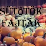sütőtök fajták