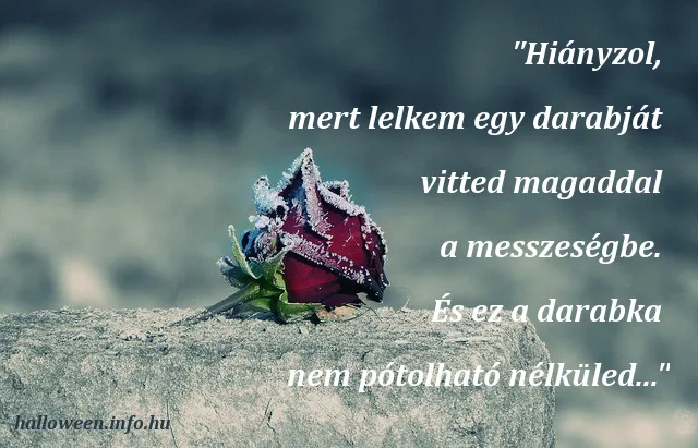 halottak napi idézet, hiányzol